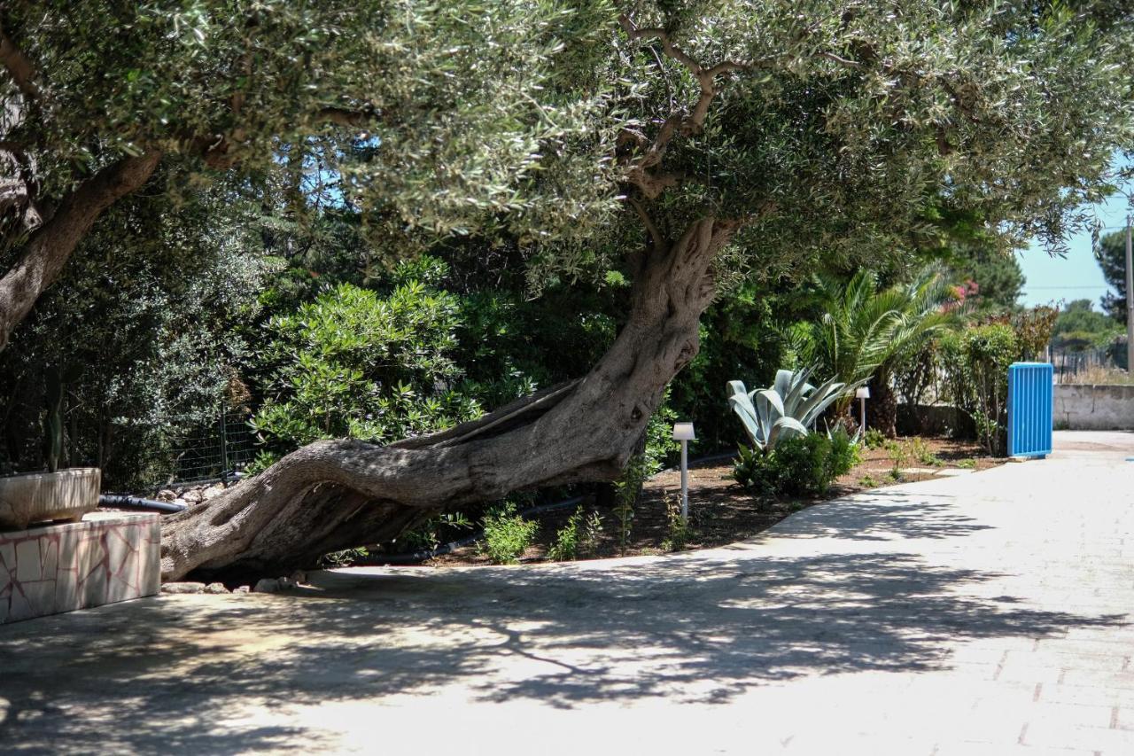 Villa Pugliamandia Monopoli Exterior foto